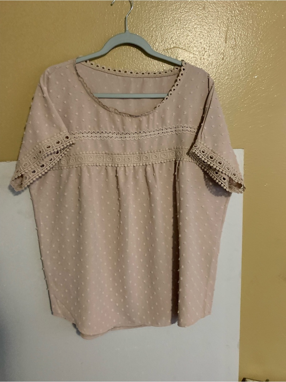 Blush Dot Lace-Trim Short Sleeve Blouse